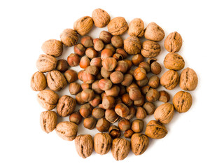 Walnuts and Hazelnuts
