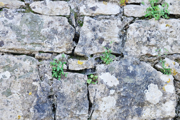 Old wall texture closeup