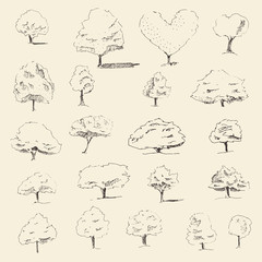 Trees sketch set, vintage vector style, hand drawn
