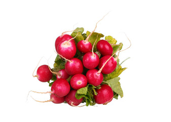 Fresh red radish isolated on white background