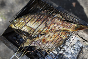 Two grilled carp on bbq fireplace