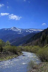 Fototapeta na wymiar Mountain valley with river in Carpathians