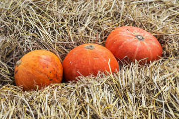 Japanese pumpkin orange and very old.