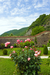 Fototapety na wymiar - Fototapeta24.pl