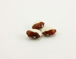 kidney bean