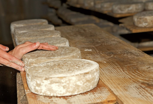 affinage de fromages dans une cave