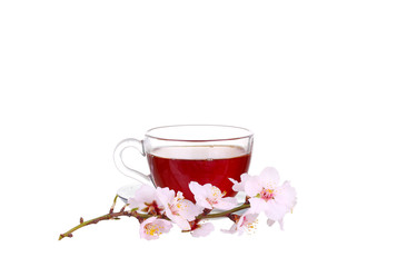 Cup of tea with a sprig of cherry blossoms isolated on white background.