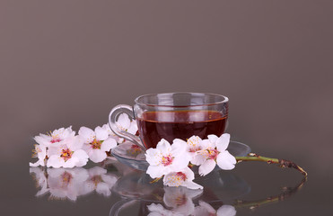 cup of tea and cherry branch