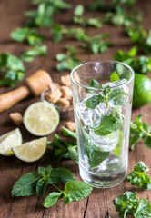 Glass of mojito with ingredients