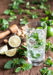 Glass of mojito with ingredients