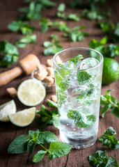 Glass of mojito with ingredients