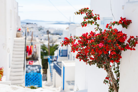 Traditional Street Of Mykonos Island In Greece