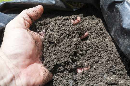 Mulch in a sack for the orhcard, garden or field