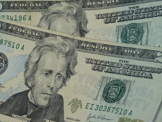 twenty dollar bill