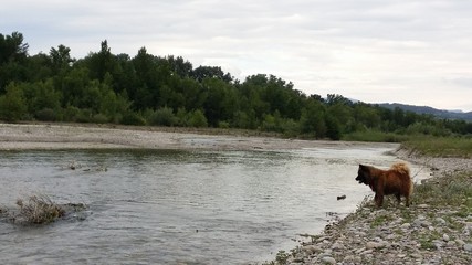 Tv bord de la rivi&egrave;re