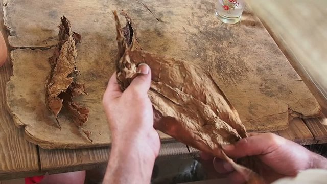 Zigarren drehen in Kuba