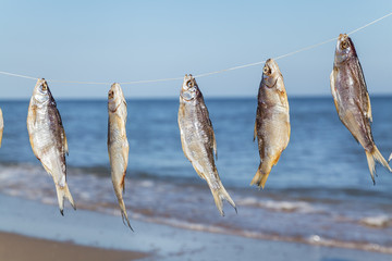Caught fish drying on rope