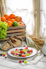 Tasty oatmeal with berry fruits and milk