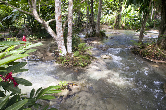 Dunn's river - Jamaica