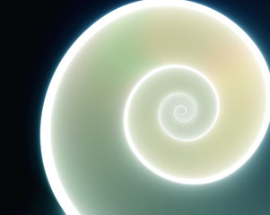 Nautilus Spiral Shell Background 