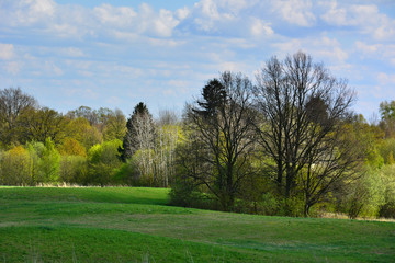 Spring landscape