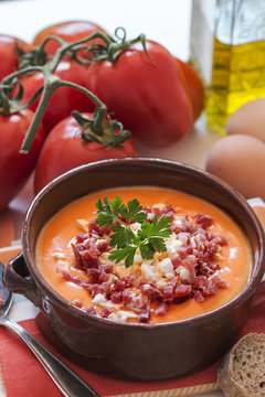 Tomato salmorejo soup in a bowl, spanish food