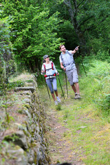 Obraz premium Couple of hikers walking in forest track