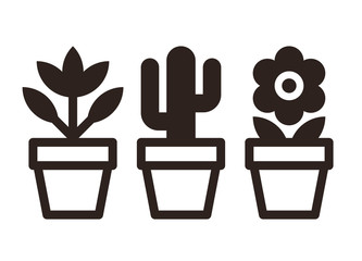 Set of flowers in pots