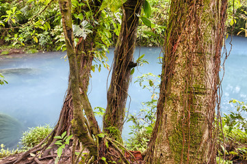 Fototapeta premium Vivid blue Rio Celeste