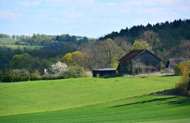 Spring landscape with old farm