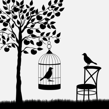 Bird cage with bird hanging from apple tree