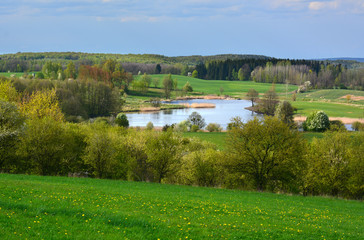 Spring landscape with lake