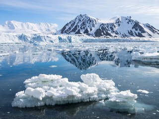 Arctic glacier landscape - Svalbard
 - obrazy, fototapety, plakaty