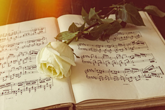 Ancient melody of love, note and rose