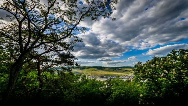 TL - Bingen am Rhein 14