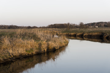 Fisherman in the reeds by the river