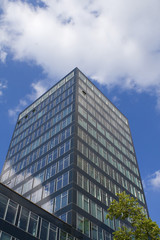 Obraz premium Bürohochhaus mit schwarzer Glasfassade und Baum