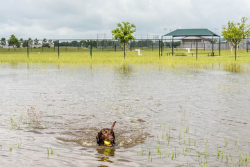 standing flood waters following heavy rains in Houston, Texas