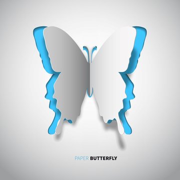 butterfly-paper-new-style