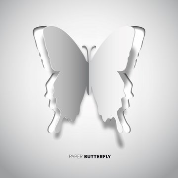 butterfly-paper-new-style