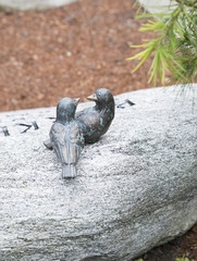 zwei V&ouml;gel auf dem Grabstein