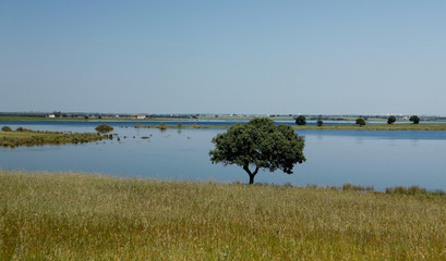 Portugal Alentejo Aljustrel