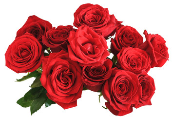 bovenaanzicht boeket rode rozen geïsoleerd