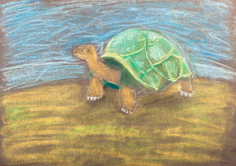 children drawing - turtle by dry pastel