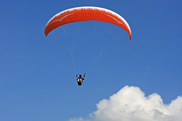 Paraglider