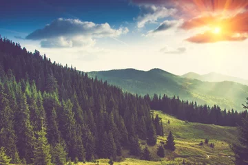 Poster Mooie zomerse berglandschap bij zonneschijn. © vovik_mar