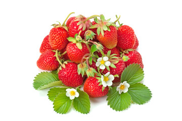 fresh strawberry