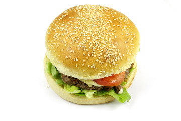burger 01062015