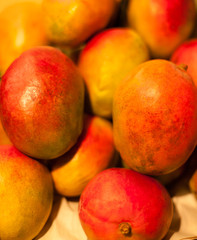 Fototapeta na wymiar Mango Fruit Background on a Market. Bio Organic Eco fruits.
