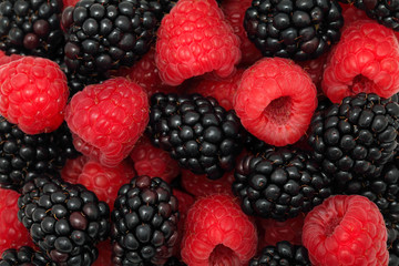 Background made from raspberries and blackberries